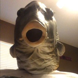 Meet your Posher, Bucky